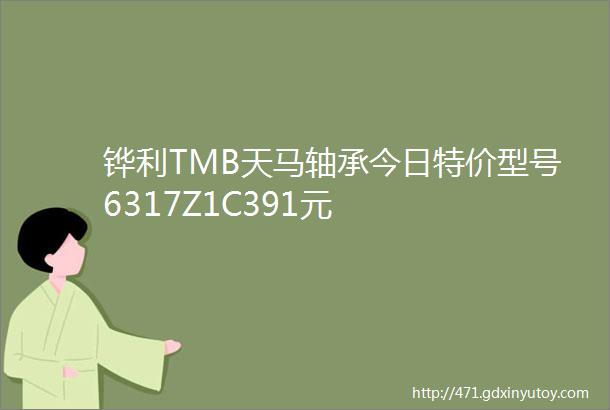 铧利TMB天马轴承今日特价型号6317Z1C391元